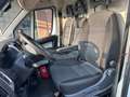 Fiat Ducato 35 2.3 MJT 130CV PM-TM Furgone Maxi Bianco - thumbnail 15