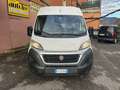Fiat Ducato 35 2.3 MJT 130CV PM-TM Furgone Maxi Bianco - thumbnail 6