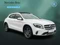 Mercedes-Benz GLA 250 GLA 250 4M URBAN+AHK+PANORAMA+360°+SHZ+BREMSASS Wit - thumbnail 3