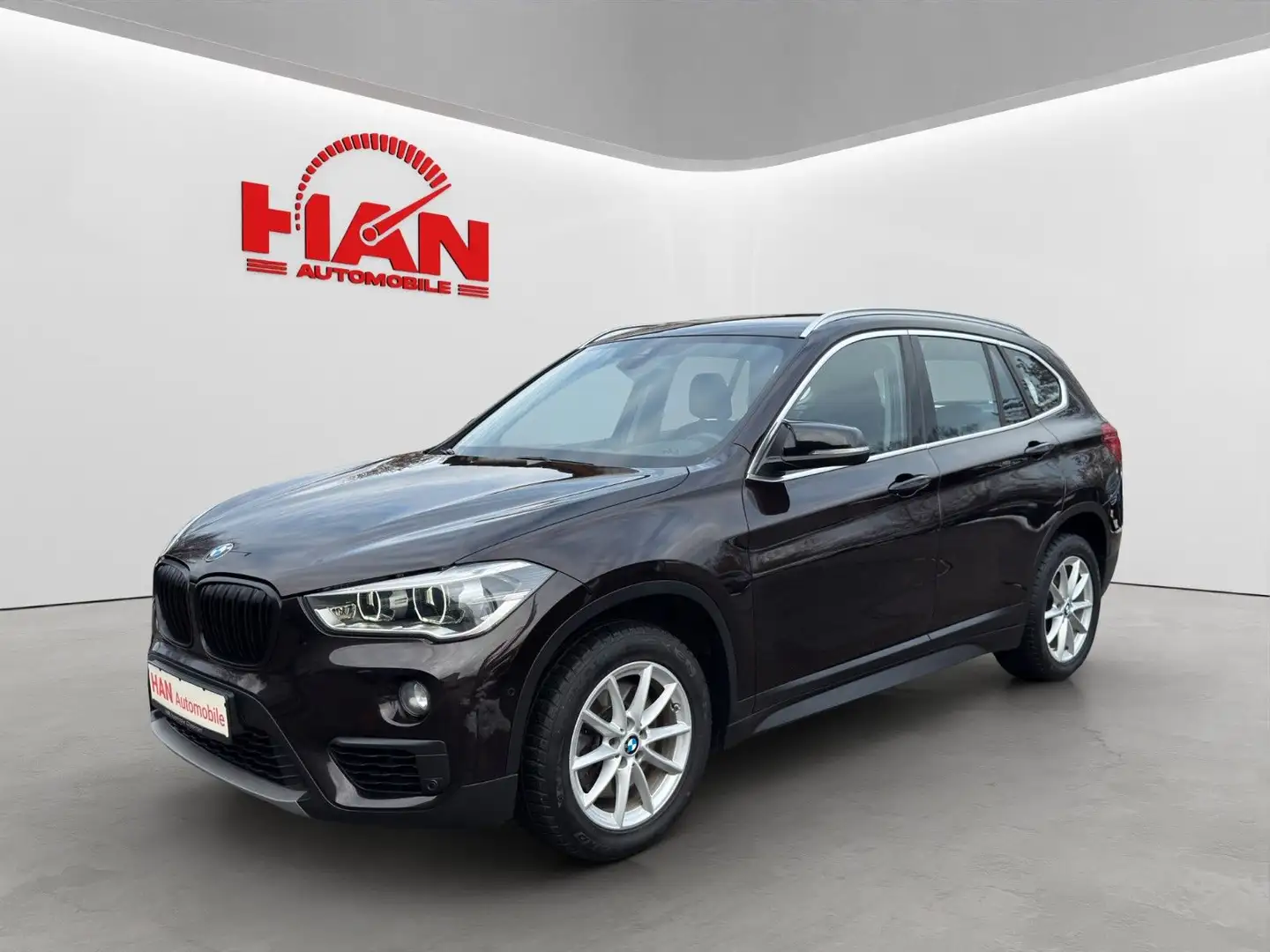 BMW X1 xDrive 20 d Advantage/Navi/SHZ/Temp. Braun - 2
