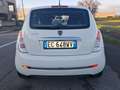 Lancia Ypsilon 1.2 8v Diva Weiß - thumbnail 3