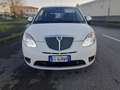 Lancia Ypsilon 1.2 8v Diva Weiß - thumbnail 14