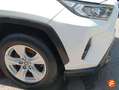 Toyota RAV 4 2.5l+220H+Business+4WD Blanc - thumbnail 15
