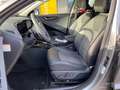 Kia Niro EV Vision Komfort Style *AHK*3Phasen*64,8kWh Grau - thumbnail 9