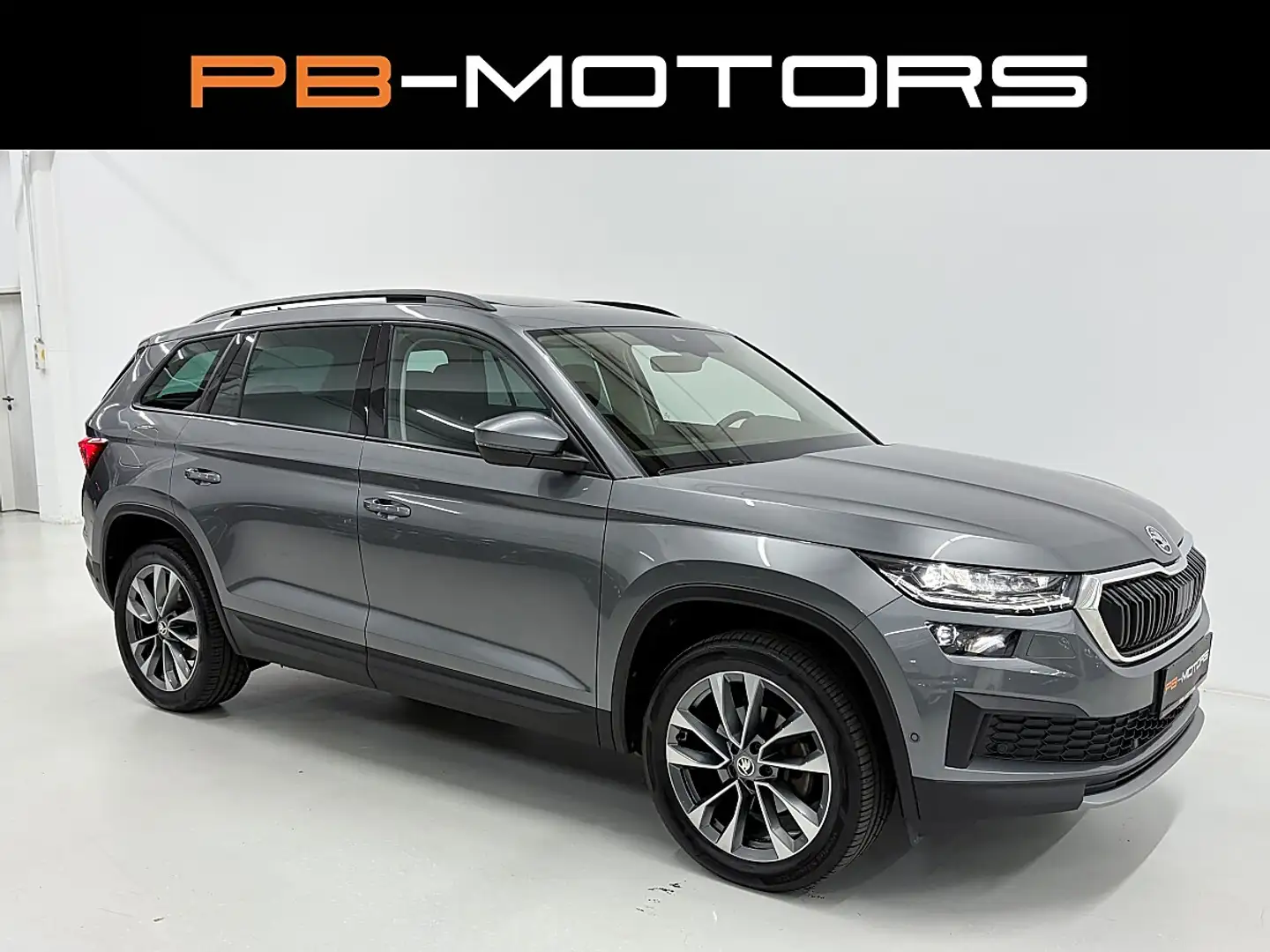 Skoda Kodiaq 2,0 TDI SCR 4x4 DSG AHK Matrix Standheizung Kam... Grau - 1