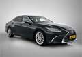 Lexus ES 300 300h Executive Line | Stoelverwarming en -ventilat Noir - thumbnail 15