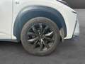 Lexus NX 300h 2.5 Hybrid F Sport Blanco - thumbnail 16