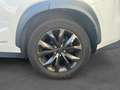 Lexus NX 300h 2.5 Hybrid F Sport Blanco - thumbnail 18