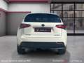 Lexus NX 300h 2.5 Hybrid F Sport Blanco - thumbnail 7