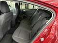 Ford Focus 1.0 EcoBoost Cool & Connect, LED, Navi Red - thumbnail 19