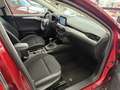 Ford Focus 1.0 EcoBoost Cool & Connect, LED, Navi Red - thumbnail 16