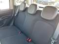Fiat Panda 1.0 GSE 51kW Mild-Hybrid *City Paket* Blanc - thumbnail 7