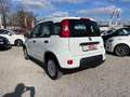 Fiat Panda 1.0 GSE 51kW Mild-Hybrid *City Paket* Blanc - thumbnail 4