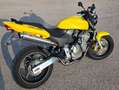 Honda Hornet 600 Giallo - thumbnail 3