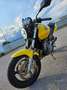 Honda Hornet 600 Giallo - thumbnail 2