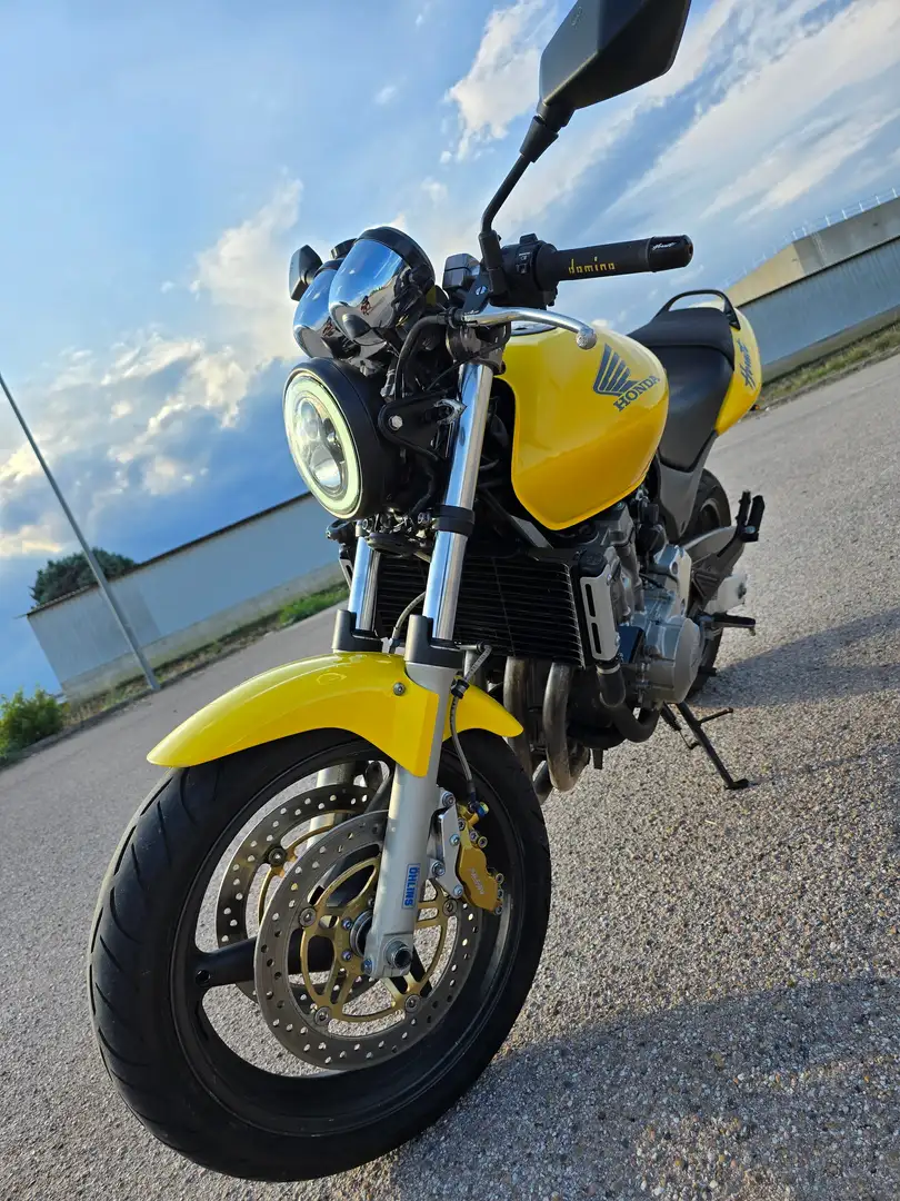Honda Hornet 600 Giallo - 2
