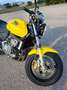 Honda Hornet 600 Giallo - thumbnail 4