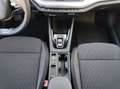 Skoda Octavia 4x4 Ambition TDI DSG Schwarz - thumbnail 11