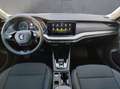 Skoda Octavia 4x4 Ambition TDI DSG Schwarz - thumbnail 7