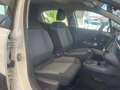 Citroen C3 C3 1.5 bluehdi Shine 100CV Wit - thumbnail 13