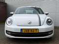 Volkswagen Beetle 1.2 TSI Sport Airco Cruise Led Navi Lmw 14 Eerste Blanc - thumbnail 10