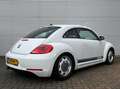 Volkswagen Beetle 1.2 TSI Sport Airco Cruise Led Navi Lmw 14 Eerste Blanc - thumbnail 4