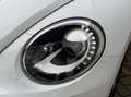 Volkswagen Beetle 1.2 TSI Sport Airco Cruise Led Navi Lmw 14 Eerste Blanc - thumbnail 14