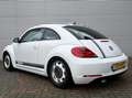 Volkswagen Beetle 1.2 TSI Sport Airco Cruise Led Navi Lmw 14 Eerste Blanc - thumbnail 12