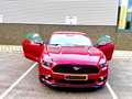 Ford Mustang Mustang 2.3 Eco Boost Rood - thumbnail 1