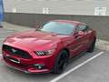 Ford Mustang Mustang 2.3 Eco Boost Rood - thumbnail 2