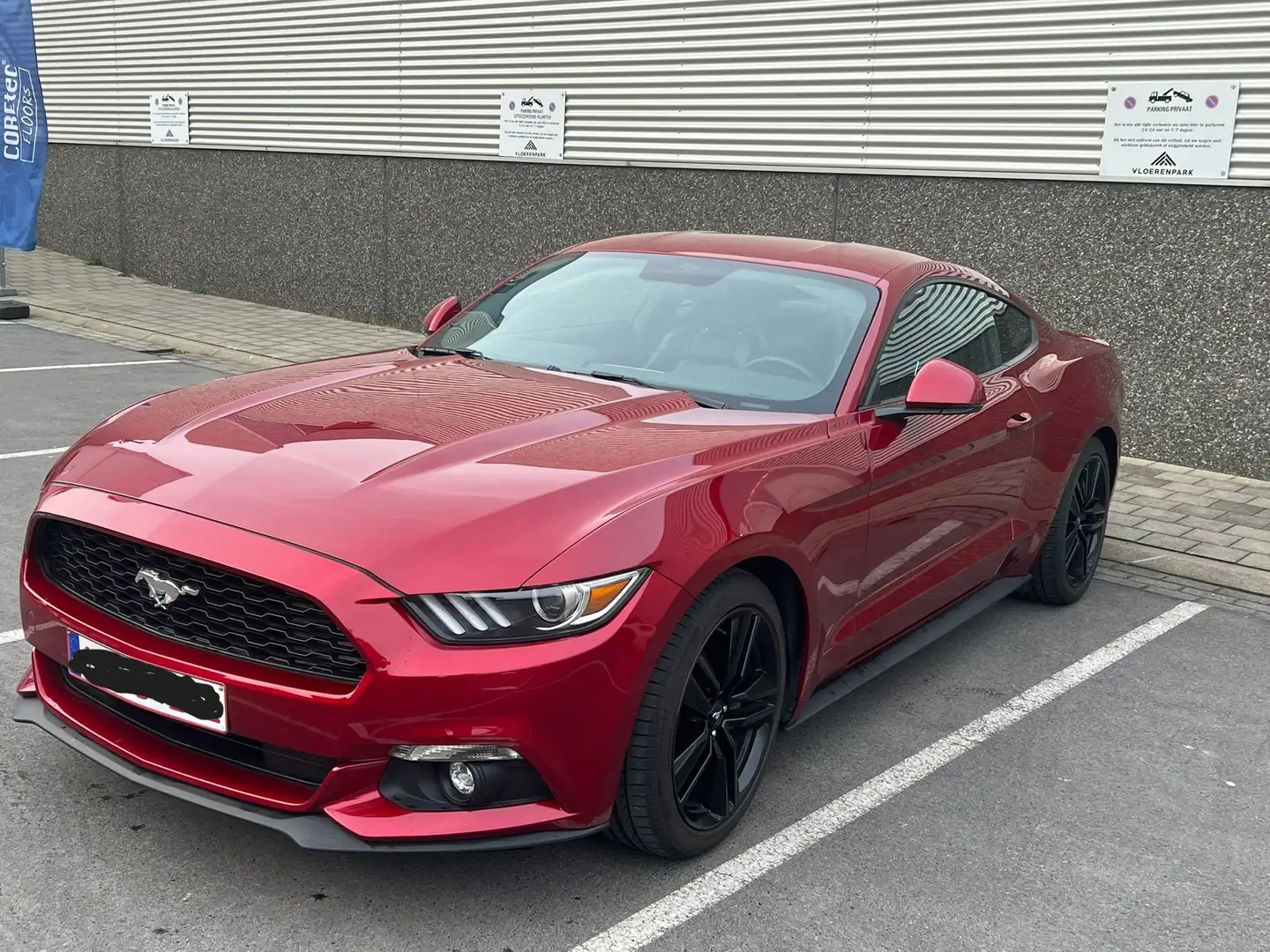 Ford Mustang Mustang 2.3 Eco Boost Rouge - 2