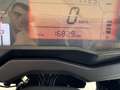 Benelli TRK 502 X SET VALIGE LATERALI E BAULETTO GIVI TREK Giallo - thumbnail 9