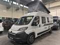 Crosscamp Camper Van CV 600 NEUES MODELL *Digital-Paket* Grau - thumbnail 3