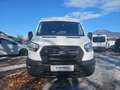 Ford Transit Kombi Trend 350L2 2,0L Eblue 150PS A FWD Weiß - thumbnail 7