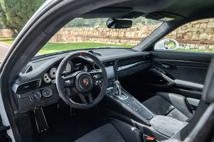 Porsche GT2 2019, foto 13