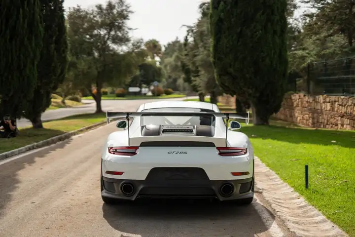 Porsche GT2 2019, foto 4