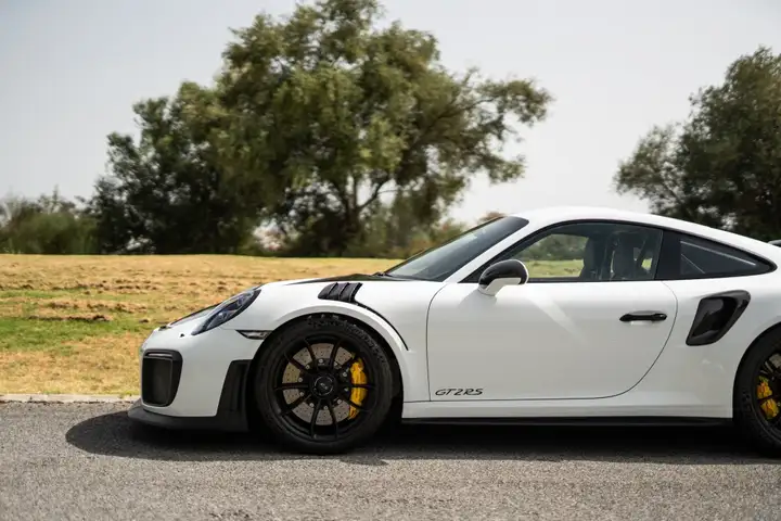 Porsche GT2 2019, foto 7