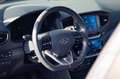 Hyundai IONIQ E-Ioniq 28 kWh Executive (EU6d-TEMP) Gris - thumbnail 8