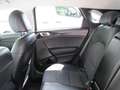 Kia Ceed / cee'd 1,5 TGDI Gold 48V DCT Grün - thumbnail 8