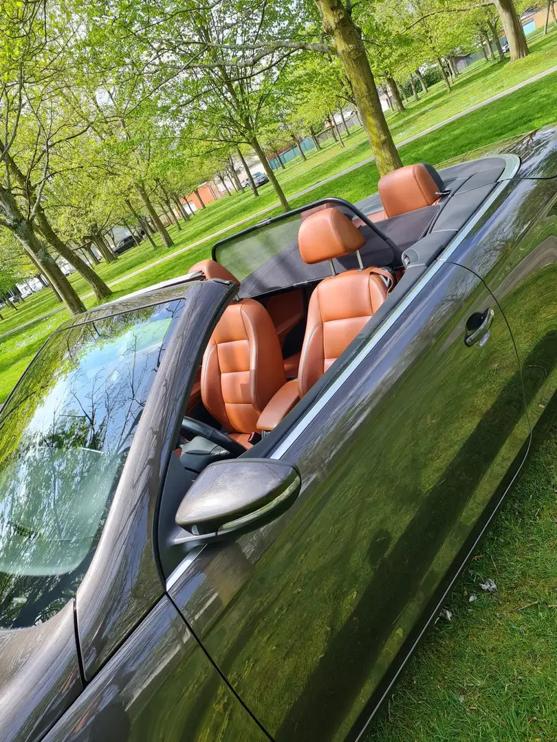 Volkswagen Eos Eos 2.0 TDI DPF DSG Brun - 2