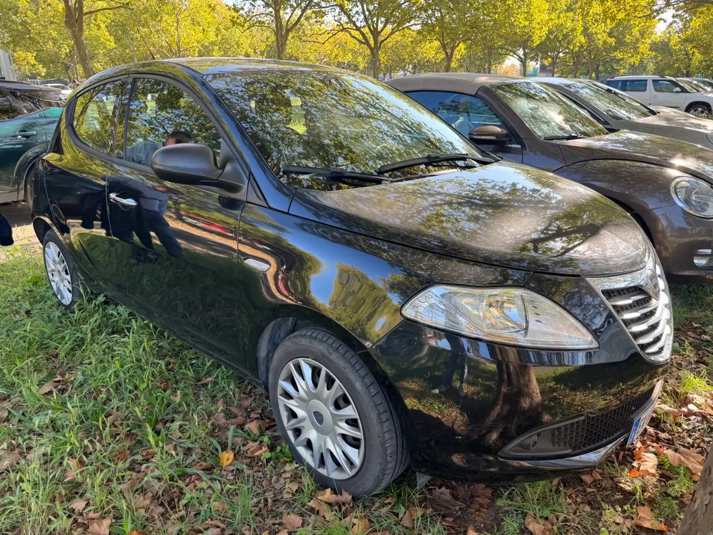 Lancia Ypsilon Ypsilon 1.2 69 CV 5 porte Elefantino Nero - 1