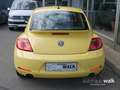 Volkswagen Beetle 2.0 TSI DSG sport GRA APS SH Gelb - thumbnail 5