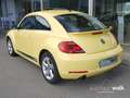 Volkswagen Beetle 2.0 TSI DSG sport GRA APS SH Gelb - thumbnail 4
