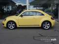 Volkswagen Beetle 2.0 TSI DSG sport GRA APS SH Gelb - thumbnail 3