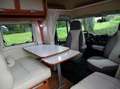 PLA Plasy Live 390 Queensbed Wit - thumbnail 7
