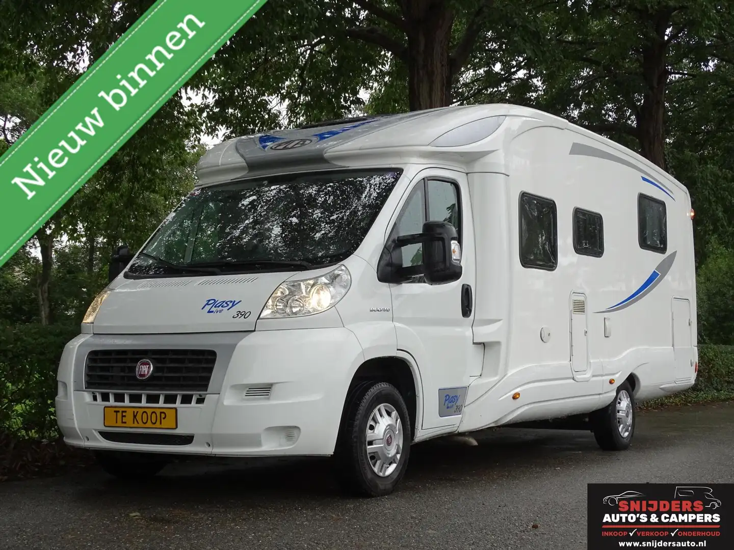 PLA Plasy Live 390 Queensbed Wit - 1