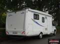 PLA Plasy Live 390 Queensbed Wit - thumbnail 4