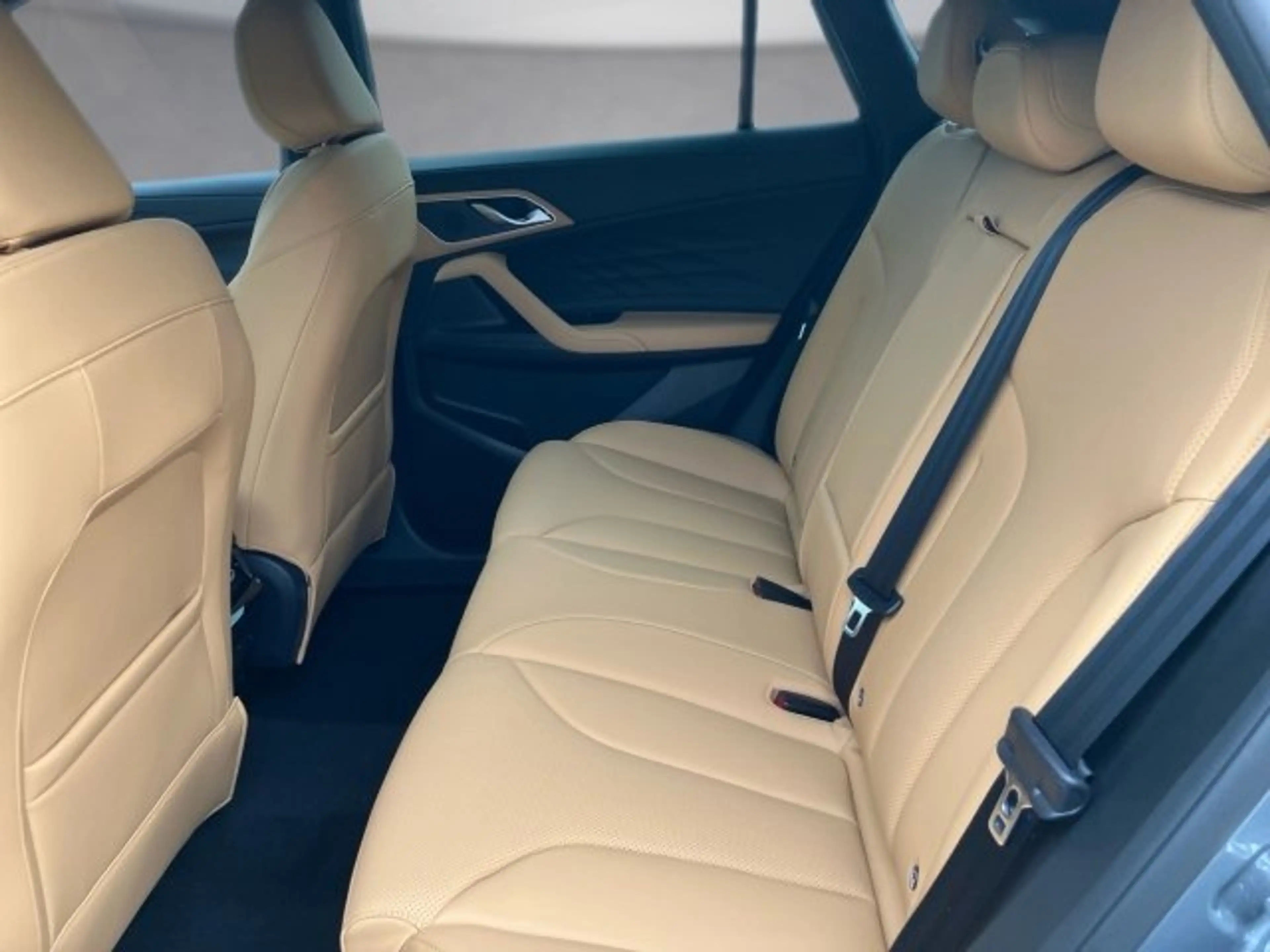 MG HS PHEV+ Luxury 25.5 — photo 9