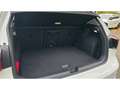 Volkswagen Golf VIII Active 1.5 TSI Navi LED DAB CarPlay Blanc - thumbnail 15