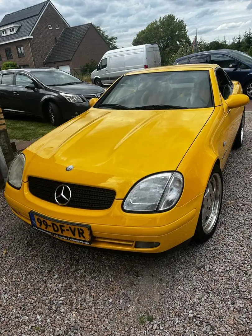 Mercedes-Benz SLK 230 SLK 230 K. Sarı - 1